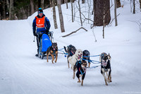 Blue Mountain Sled Dog Race - 2019